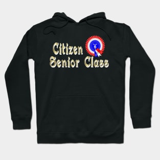 Citizen Senior Class Level 6 Award Baby Boomer Time Hoodie